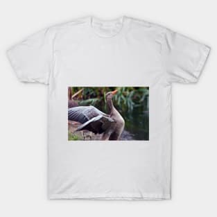 Bird Poetry T-Shirt